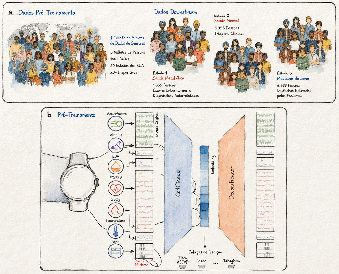 Diagrama ilustrado do SensorFM, com dados de wearables, grupos de participantes e arquitetura de codificador e decodificador